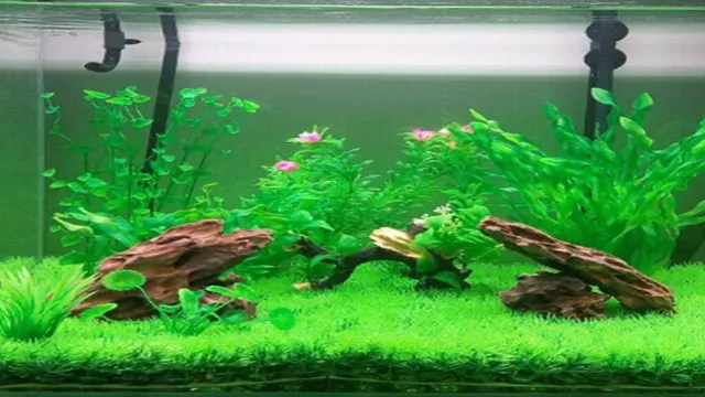 how to get grass at bottom of aquarium