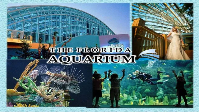 how to get guest in for free at florida aquarium