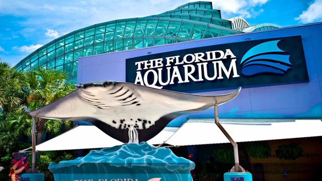 How to Get Guests in for Free at Florida Aquarium: Insider Tips and Tricks