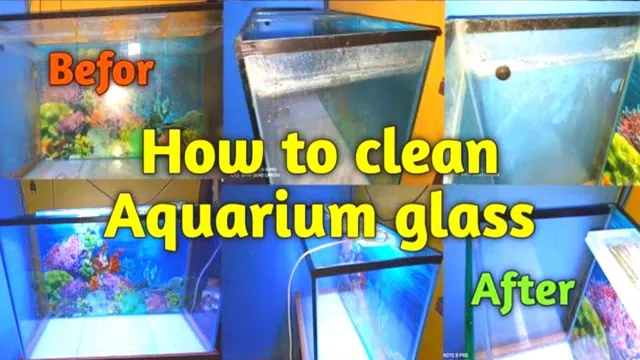 How to Get Hard Water Off Aquarium Glass Easily and Effectively