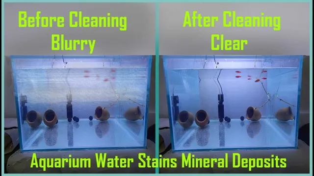 How to Get Hard Water Stains off Aquarium: Tips and Tricks