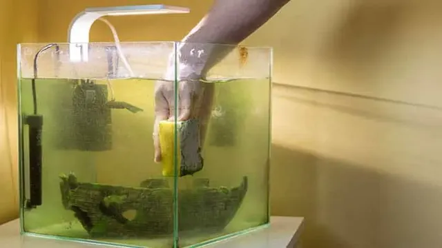 how to get hard water stains out of my aquarium