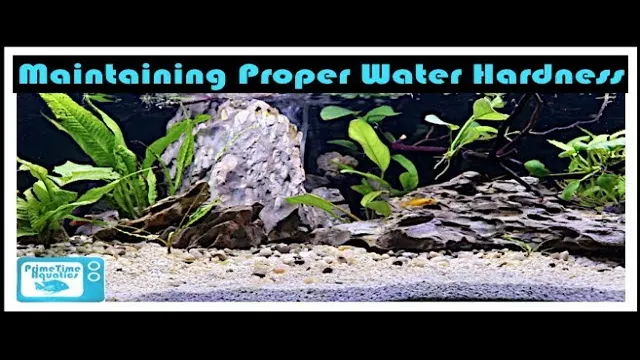 How to Get Hardness Down in Aquarium: Tips and Tricks for Reducing Water Hardness