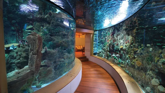 How to Get Into High Aquariums: Tips for Accessing and Enjoying Elevated Underwater Worlds