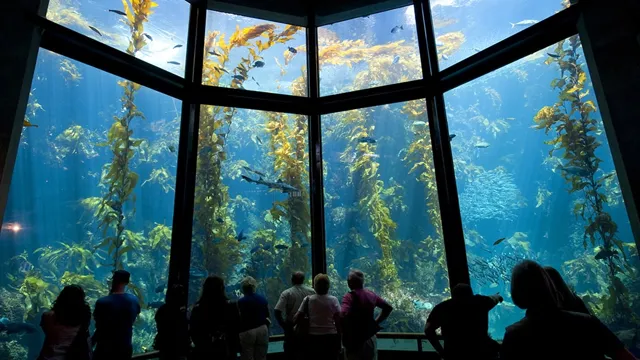 how to get into monterey bay aquarium for free