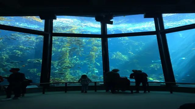 How to Get into Monterey Bay Aquarium for Free: Insider Tips and Tricks