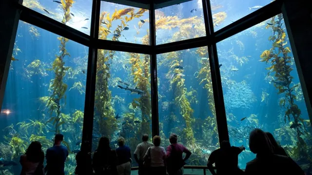 how to get into the monterey bay aquarium for free