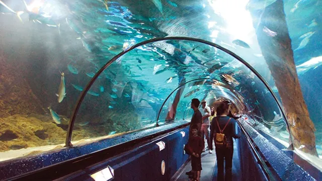 how to get into zoo aquarium