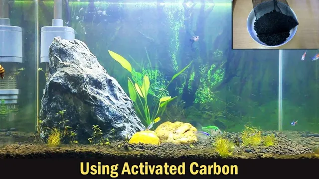 how to get more carbon in my freshwater aquarium