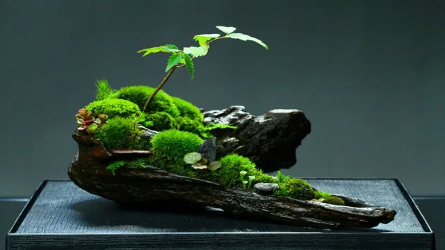 How to Get Moss to Grow on Aquarium Bonsai Tree: Expert Tips and Tricks