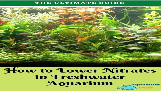 how to get nitrates down in aquarium