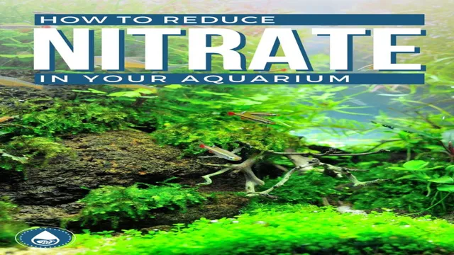 How to Get Nitrates Down in Freshwater Aquarium: 10 Effective Ways