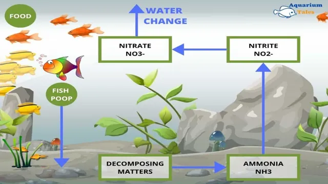 How to Get Nitrates Up in Aquarium: Tips and Tricks for…