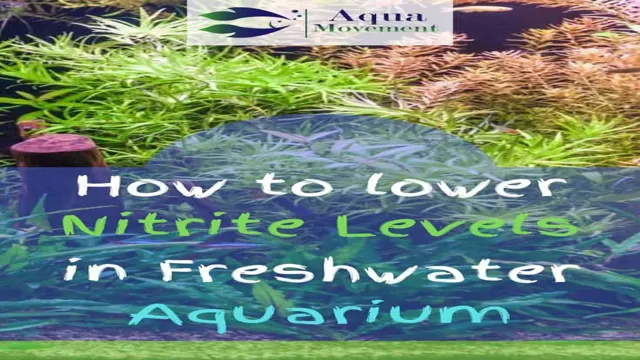 how to get nitrite levels down in saltwater aquarium