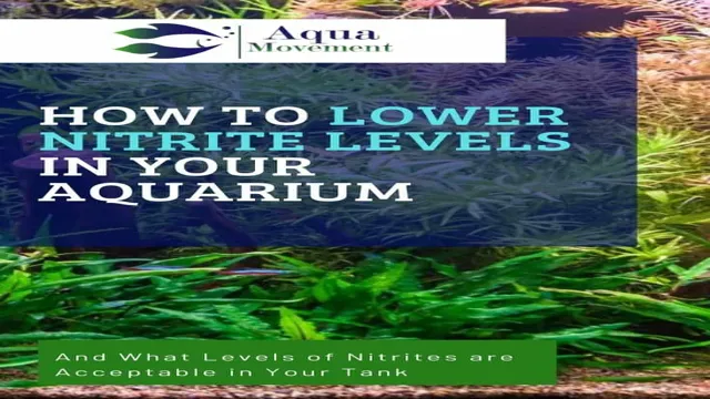 How to Effectively Get Nitrite Levels Down in a Saltwater Aquarium without Harming Fish: Tips and Techniques