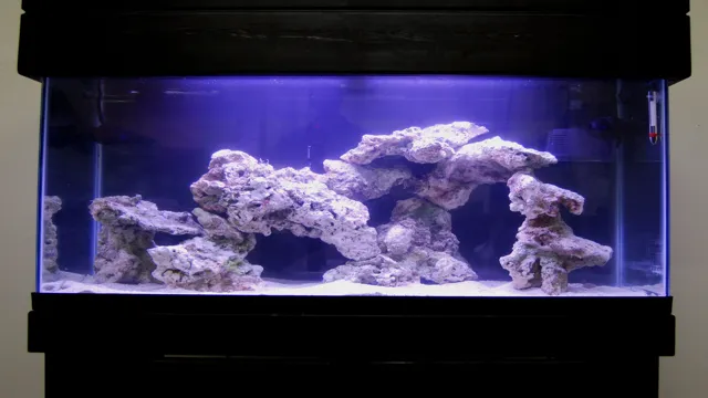 how to get ocean rocks ready for a freshwater aquarium
