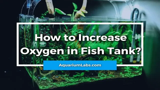 how to get oxygen in aquarium