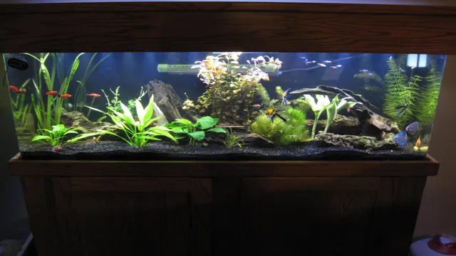 How to Get Perfect Aquarium Water: Expert Tips and Tricks for Crystal Clear Tank Water