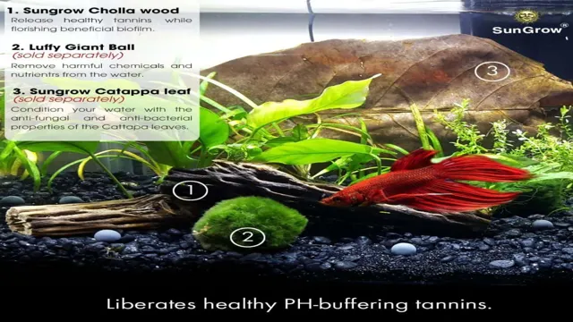 How to Get pH in Aquarium Right: A Comprehensive Guide to Aquarium pH Maintenance