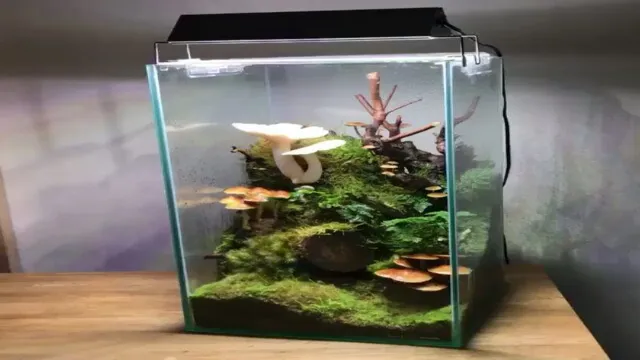 how to get plants for aquarium and mushroom garden