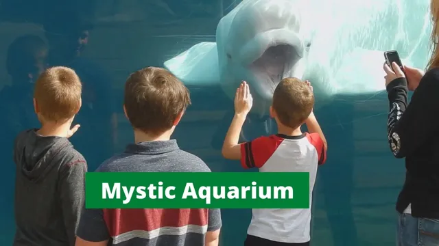 how to get refund at mystic aquarium