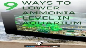 how to get rid of alkaline in a freshwater aquarium