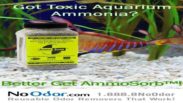 how to get rid of ammonia from a discus aquarium