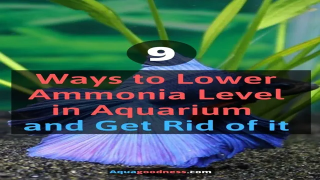 how to get rid of ammonia in aquarium water
