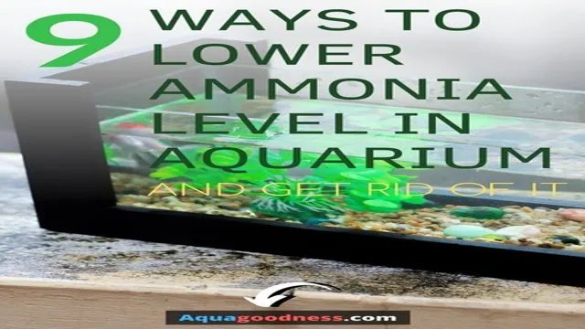 how to get rid of aquarium limpits