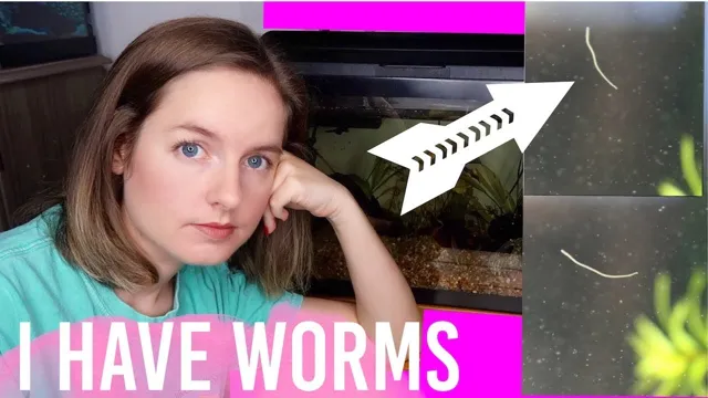 how to get rid of aquarium worms