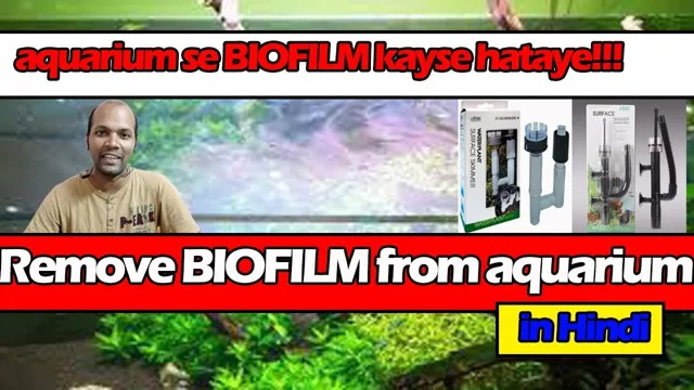 how to get rid of biofilm in aquarium