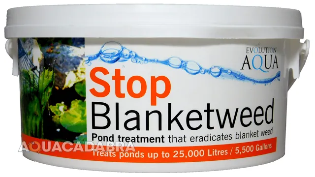 How to Get Rid of Blanket Weed in My Aquarium: Ultimate Guide for Healthy Water