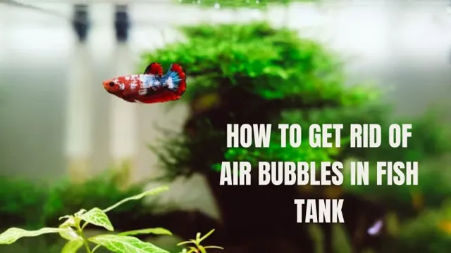 how to get rid of bubbles in aquarium