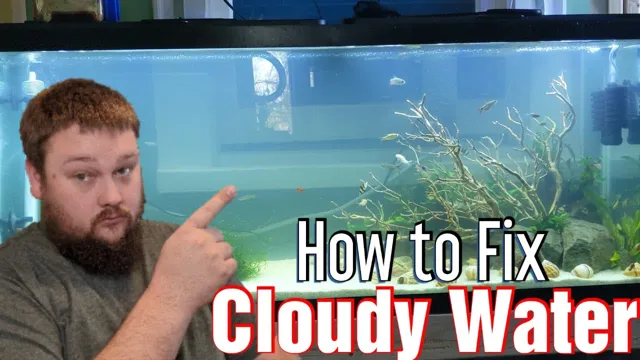 how to get rid of cloudy reef aquarium water
