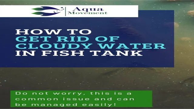 how to get rid of cloudy water in aquarium