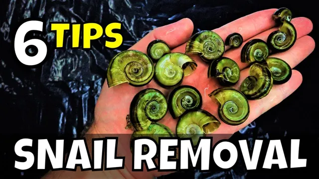 how to get rid of dead aquarium snails