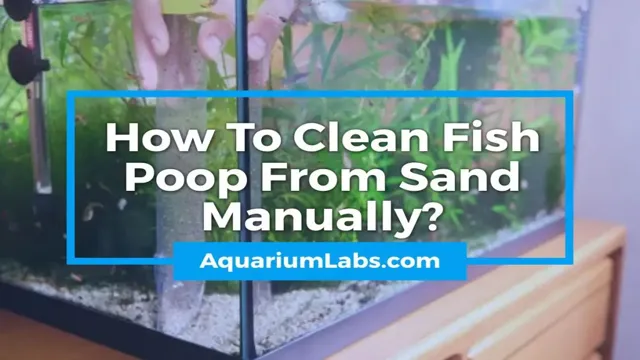 how to get rid of fish poop in aquarium
