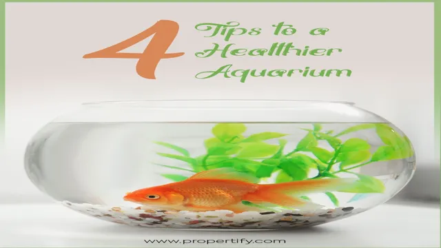 how to get rid of fish waste in aquarium