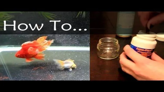 how to get rid of flukes in aquarium