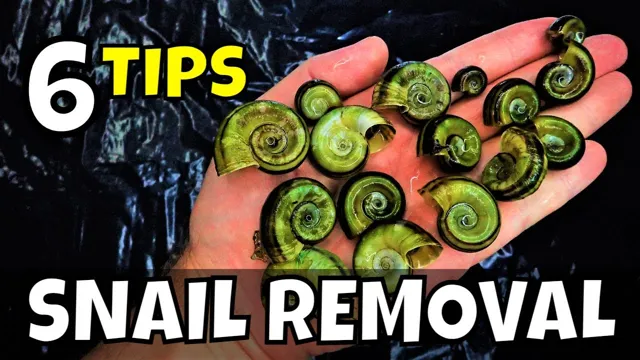 how to get rid of freshwater aquarium snails