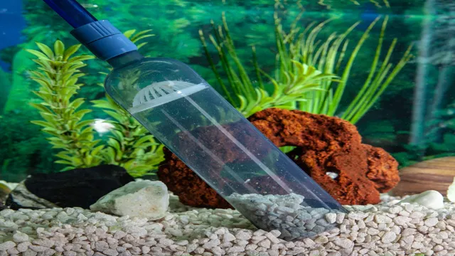 How to Get Rid of Gravel Dust in Aquarium: Tips and Tricks