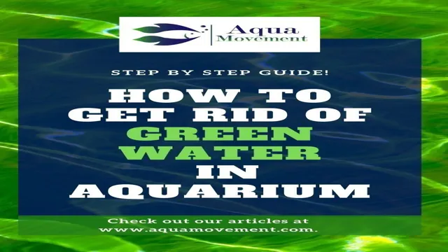 How to Get Rid of Green Water in Freshwater Aquarium: Easy and Effective Strategies