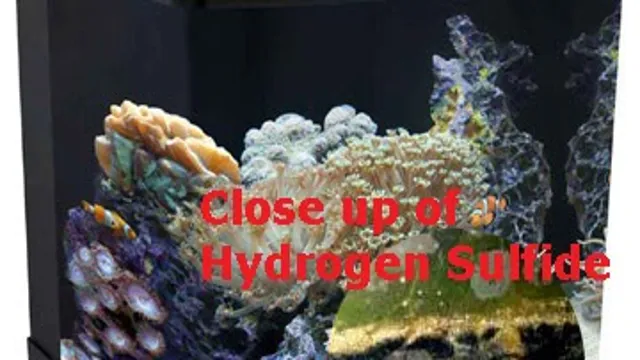 How to Get Rid of Hydrogen Sulfide in Aquarium and Keep Your Fish Healthy