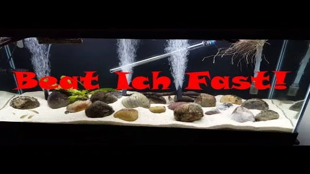 how to get rid of ick in a saltwater aquarium
