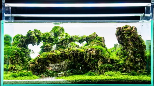 How to Get Rid of Java Moss in Aquarium: Effective Tips and Tricks