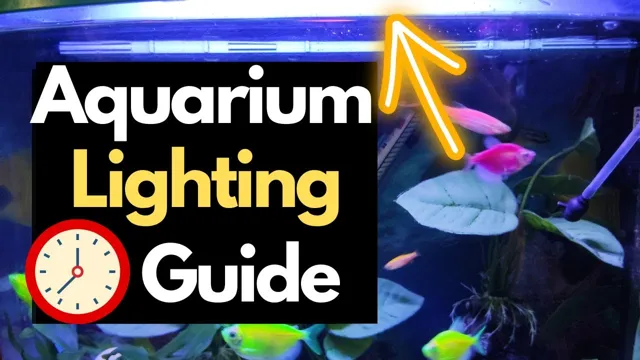 how to get rid of light reflection for aquarium