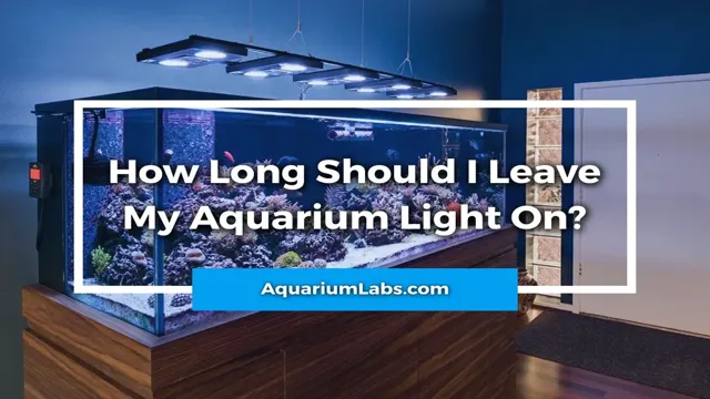 How to Get Rid of Light Reflection for Aquarium: Simple Tips and Tricks.