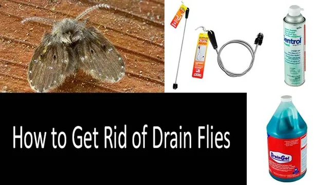 how to get rid of midge flies in aquarium