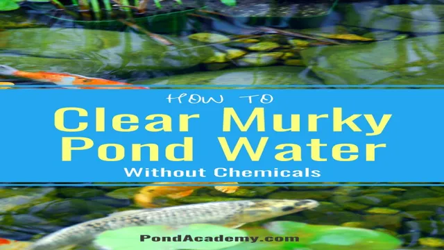 how to get rid of murky aquarium water