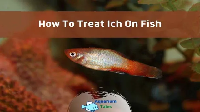 how to get rid of my aquarium fish simplydiscus